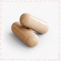 Sporia Organic Mushroom Complex